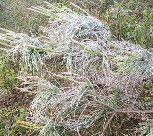 Xuất hiện băng đá ở Bình Liêu (Quảng Ninh)